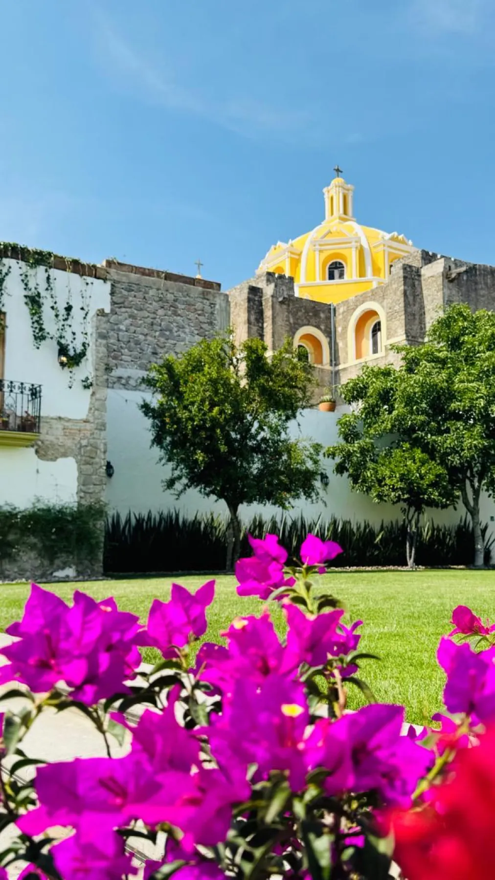 El jardín — 2