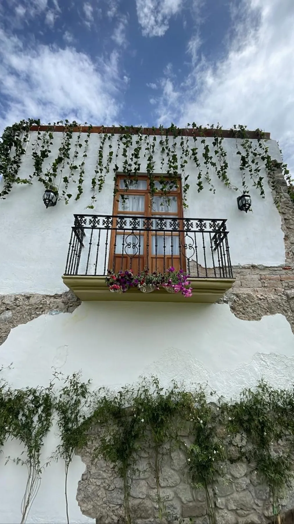 El jardín — 13
