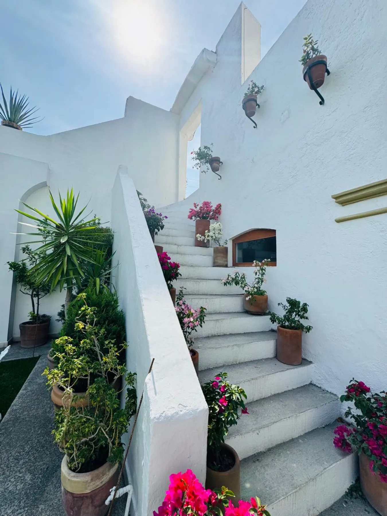 El jardín — 16