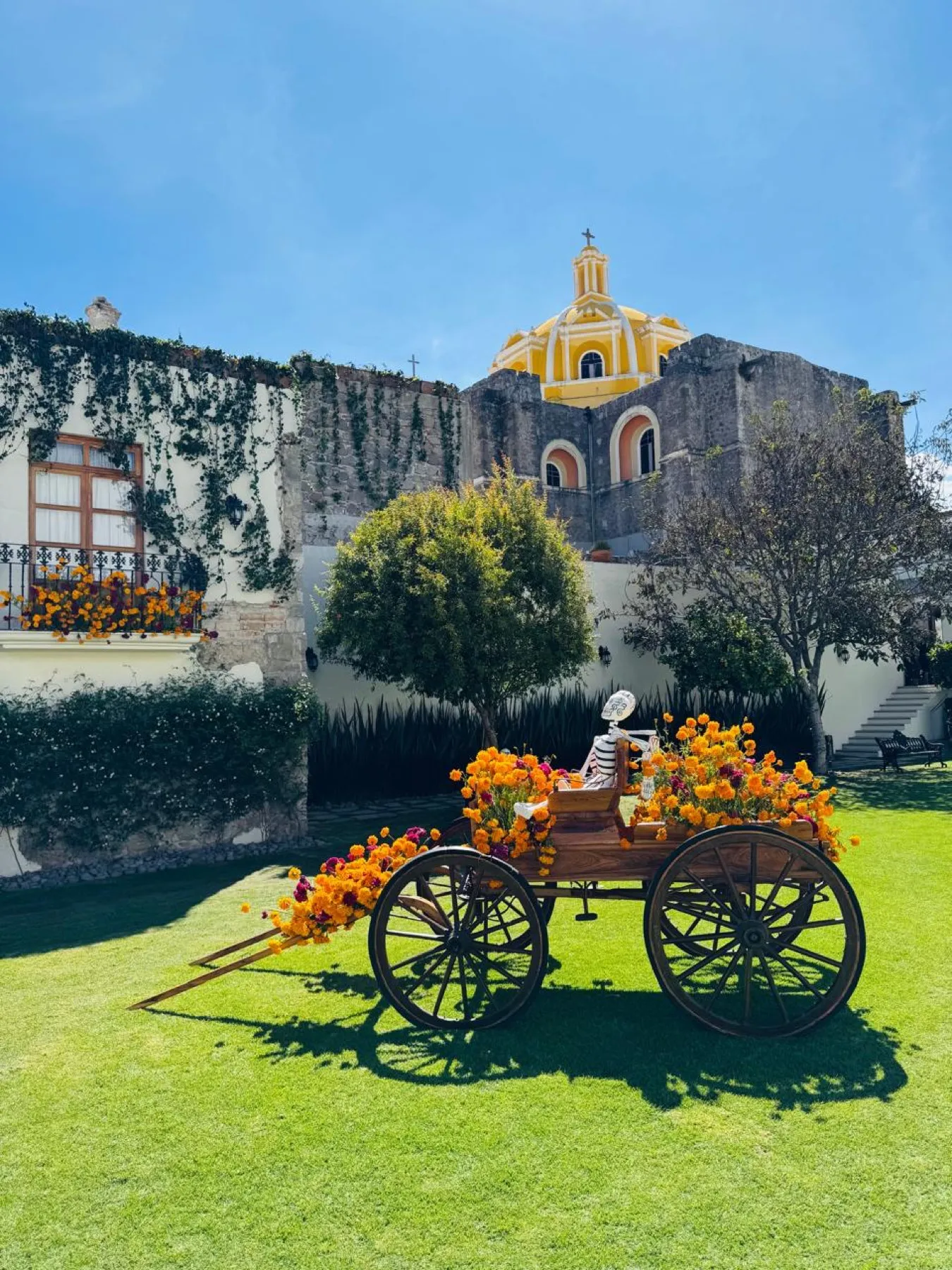 El jardín — 17