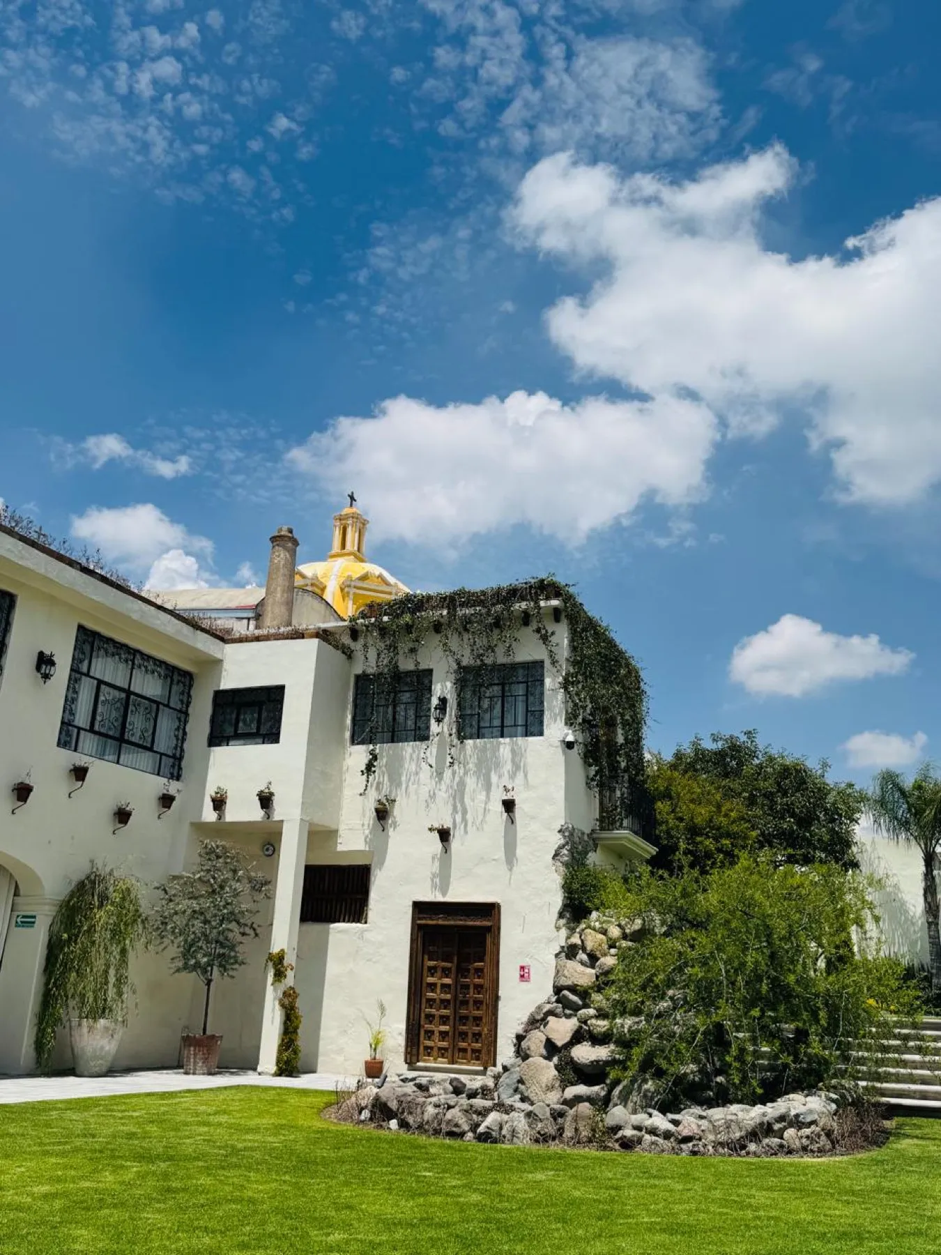 El jardín — 19