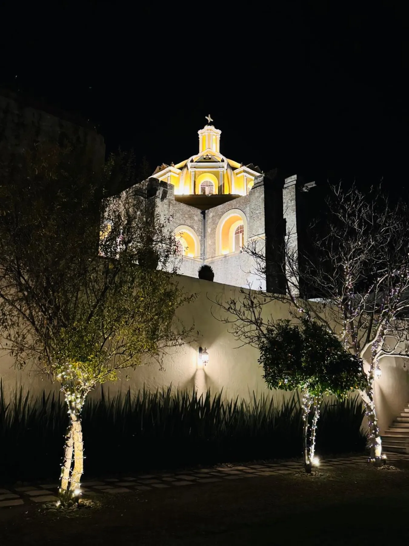 El jardín — 21