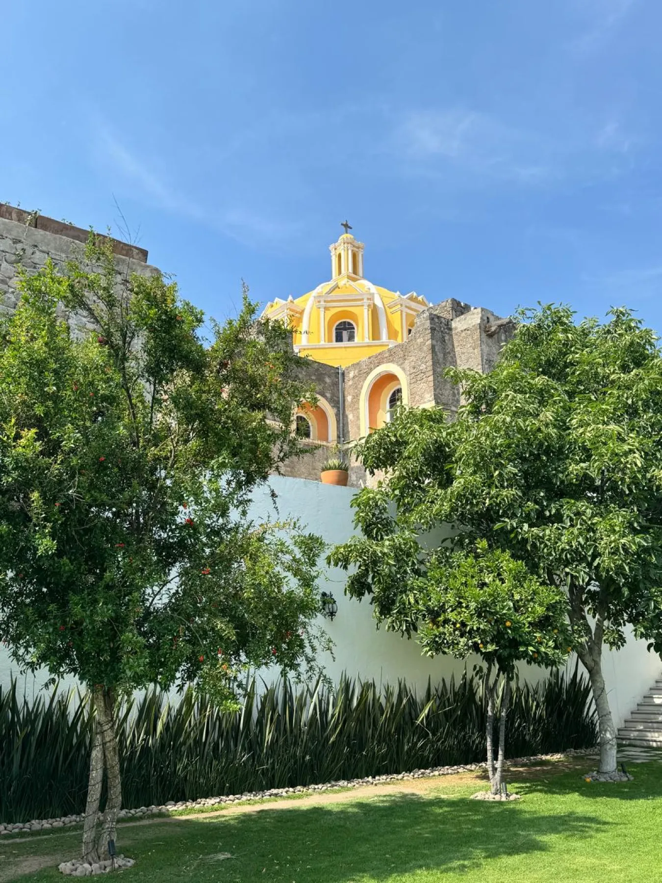 El jardín — 5