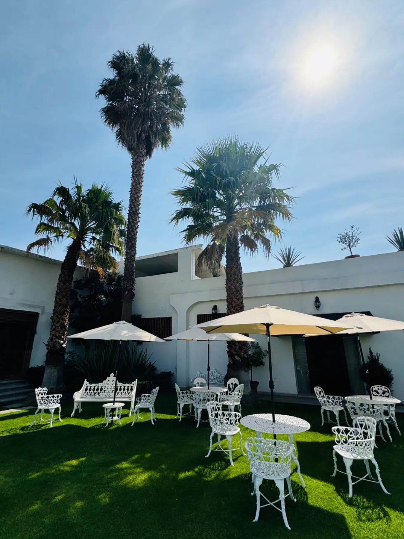 El jardín — 6